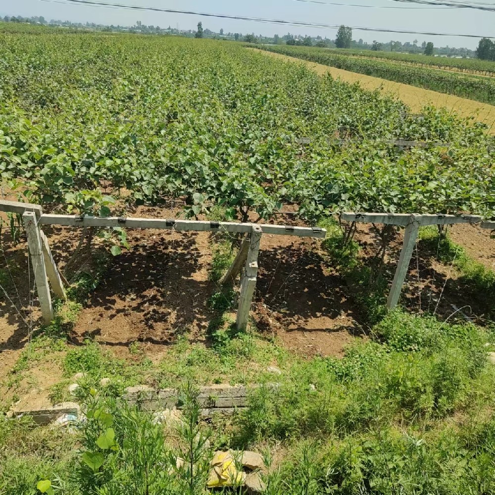 基地展示视频
