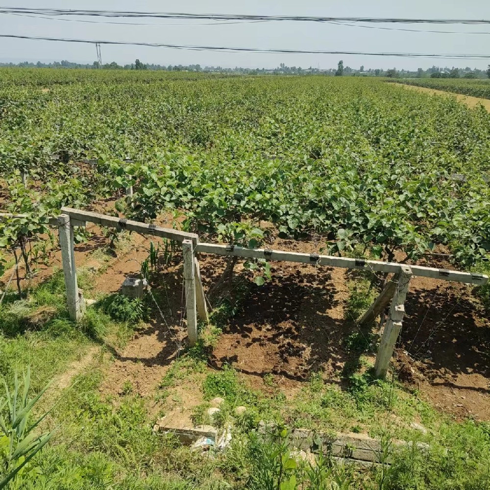 基地展示视频