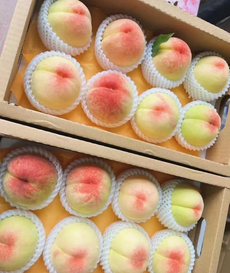 水蜜桃进入销售旺季 记者探访：市场价格差异明显 优质价接近40元每斤